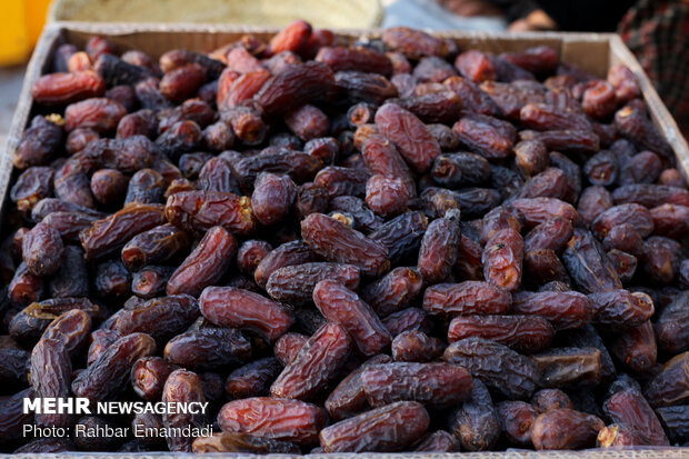 خرمای بوشهر راهی بازارهای خارجی شود؛ لزوم توسعه صنایع تبدیلی و فرآوری