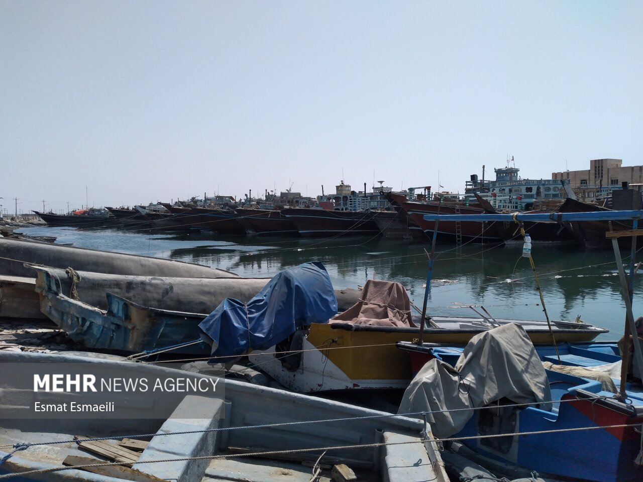 کاهش ذخایر دریایی در خلیج فارس؛ «توربست» راهکاری برای کاهش صیدهای مخرب