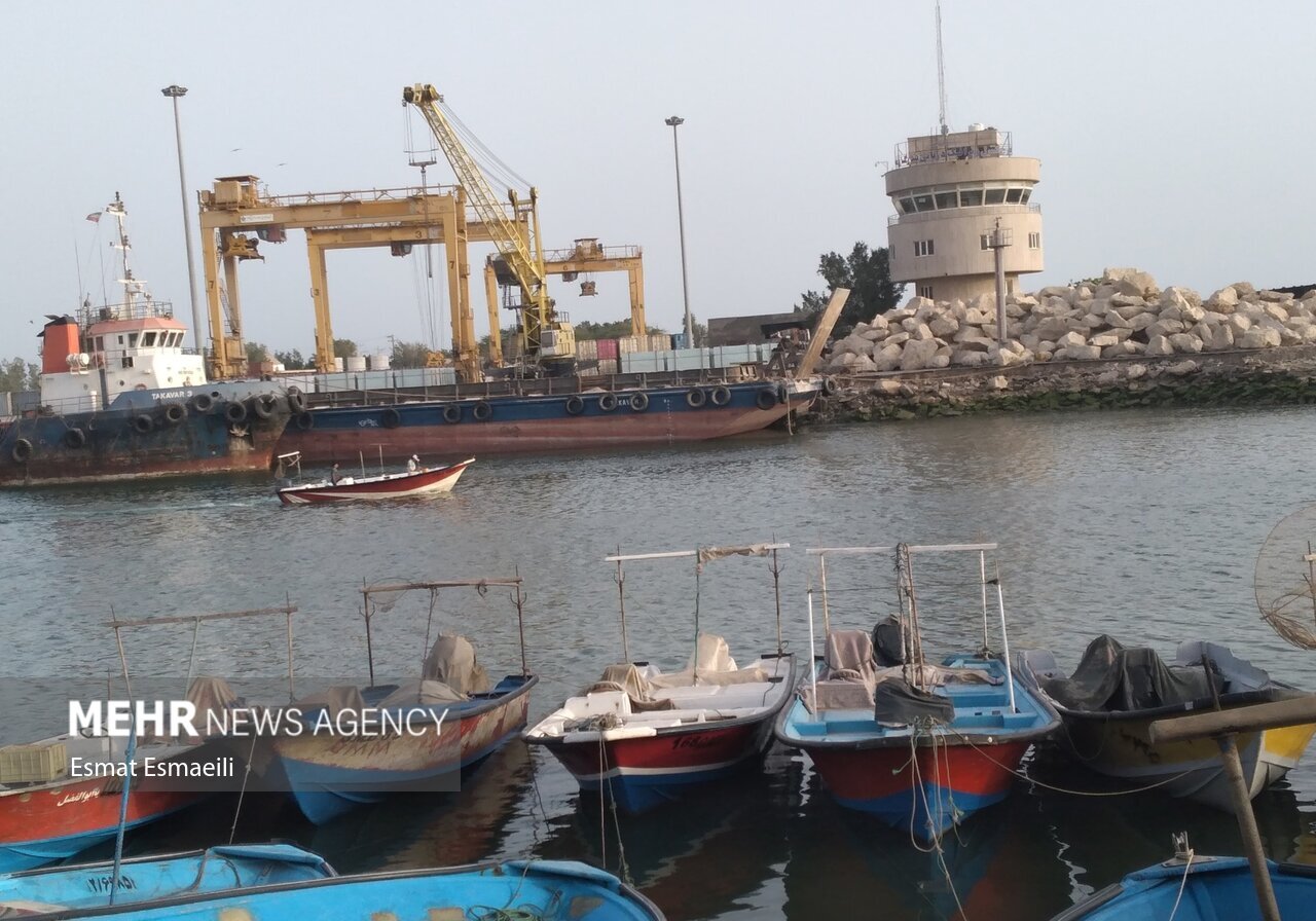 کاهش ذخایر دریایی در خلیج فارس؛ «توربست» راهکاری برای کاهش صیدهای مخرب