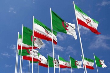 تقویت روابط اقتصادی تهران - الجزیره؛ فرصتی تازه در سایه دیپلماسی فعال