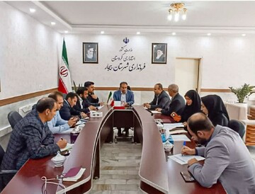 ۳۲۰ طرح اشتغال‌زایی بنیاد علوی در بیجار اجرا می شود
