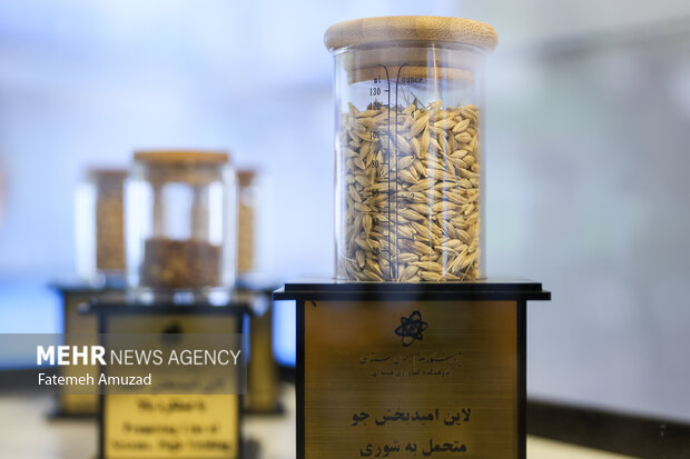 نمایشگاه دستاوردهای «صنعت هسته ای»