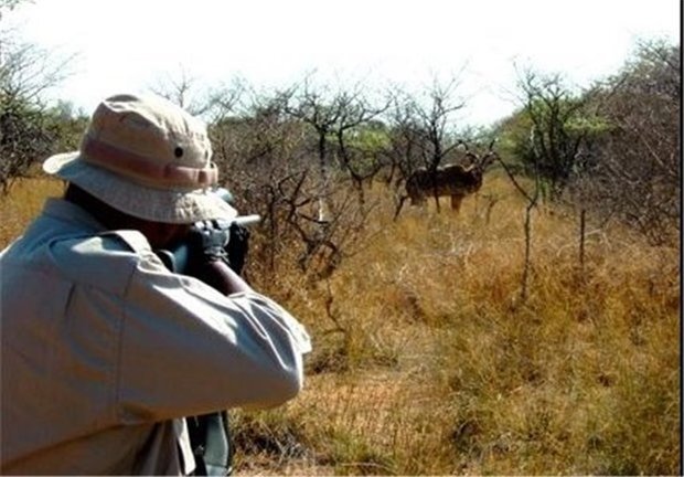 ضربه سنگین به متخلفان محیط زیست در کردستان؛ دستگیری بیش از ۳۵۰ شکارچی