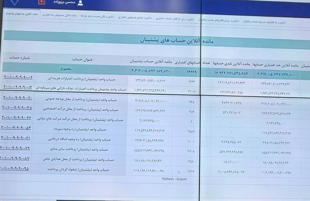 وزارت اقتصاد: یک ریال وجه نقد رسوبی در حساب دستگاهها نیست