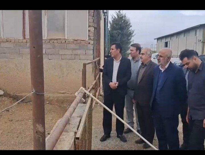 مزرعه کشت و صنعت پروتئین دهگلان سالانه ۸۰ تن گوشت شترمرغ تولید میکند