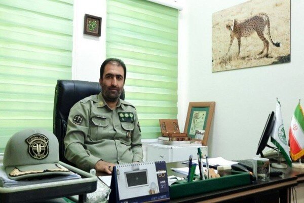 برخورد قانونی با متخلفان برداشت گیاهان دارویی در دماوند