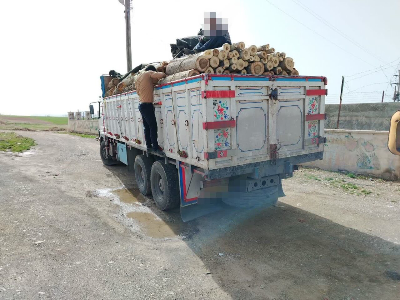 ۱۴ تن چوب قاچاق در محور قروه همدان توقیف شد