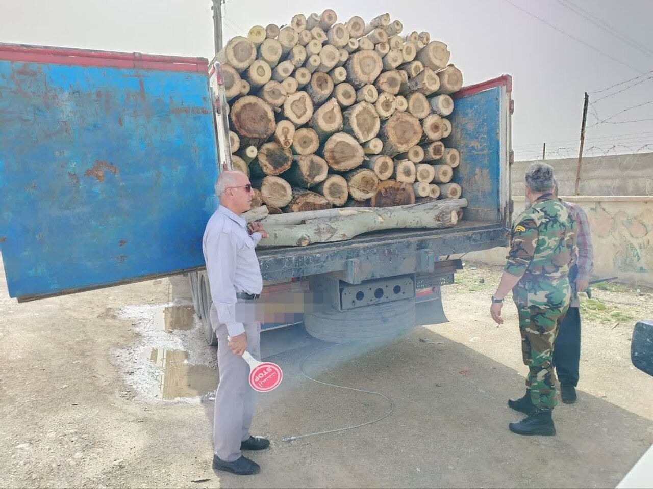 ۱۴ تن چوب قاچاق در محور قروه همدان توقیف شد