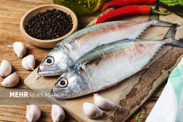 قیمت انواع آبزیان در میادین و بازارهای میوه و تره بار تهران اعلام شد