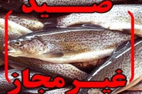 دستگیری متخلف صید غیرمجاز ماهی در منطقه حفاظت شده هلن