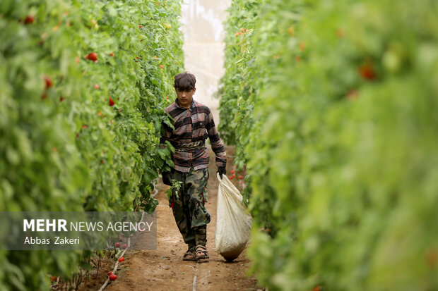 مطالبات مردم شهرستان حاجیآباد در هرمزگان از رئیسجمهور مطالبات مردم شهرستان حاجیآباد در هرمزگان از رئیسجمهور