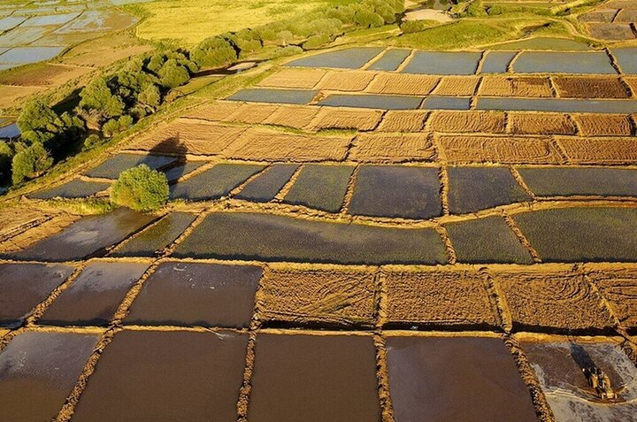 نظارت دقیق کارشناسان معین بر عملکرد استانها ضروری است