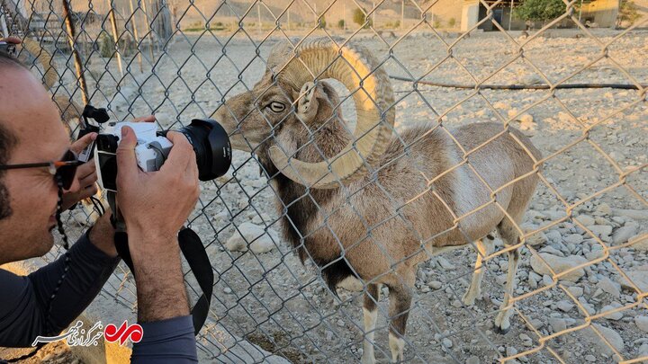از باغ بینشاط تا «دهن شیر» پرآب