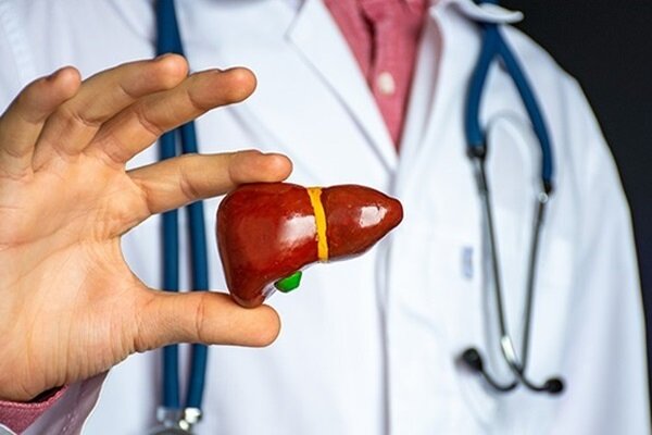 پیشگیری و شناسایی زودهنگام هپاتیتها، عامل مهمی در حفظ سلامت کبد به شمار میرود – خبرگزاری مهر | اخبار ایران و جهان پیشگیری و شناسایی زودهنگام هپاتیتها، عامل مهمی در حفظ سلامت کبد به شمار میرود – خبرگزاری مهر | اخبار ایران و جهان