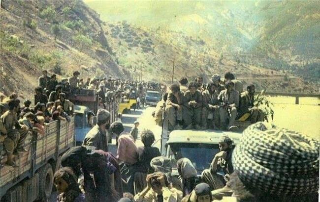 ئەنفال شاڵاوێک بۆ کورد قڕان