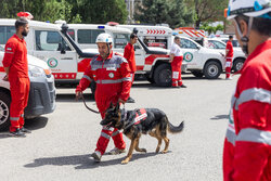 مهرگان: ۱۰ گردشگر مفقود در جنگل های شیرمشه نجات یافتند