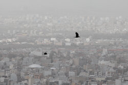 کیفیت هوا در سرپل‌ذهاب و قصرشیرین اضطراری شد