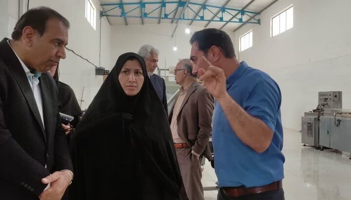 استان کرمان به سرمایه گذاری های خرد نیاز دارد