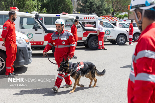 مهرگان: ۱۰ گردشگر مفقود در جنگل های شیرمشه نجات یافتند مهرگان: ۱۰ گردشگر مفقود در جنگل های شیرمشه نجات یافتند