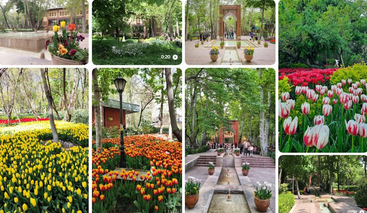 VIDEO: Have you heard about 'small Holland' in Tehran?