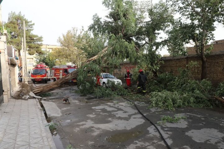 توفان شدید مشهد ۱۷ حادثه داشت