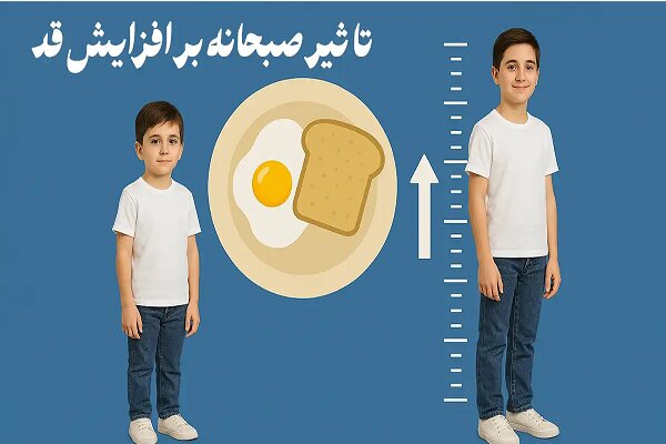 قد،پروتئين،مصرف،صبحانه،ويتامين،كلسيم،نان،مفيد،وعده،شير،غذايي ...