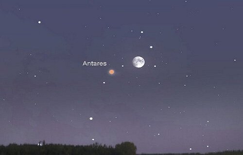 آسمان در انتظار بارش شهابی «شلیاقی» و همنشینی «ماه و قلب العقرب» 1 آسمان در انتظار بارش شهابی «شلیاقی» و همنشینی «ماه و قلب العقرب»