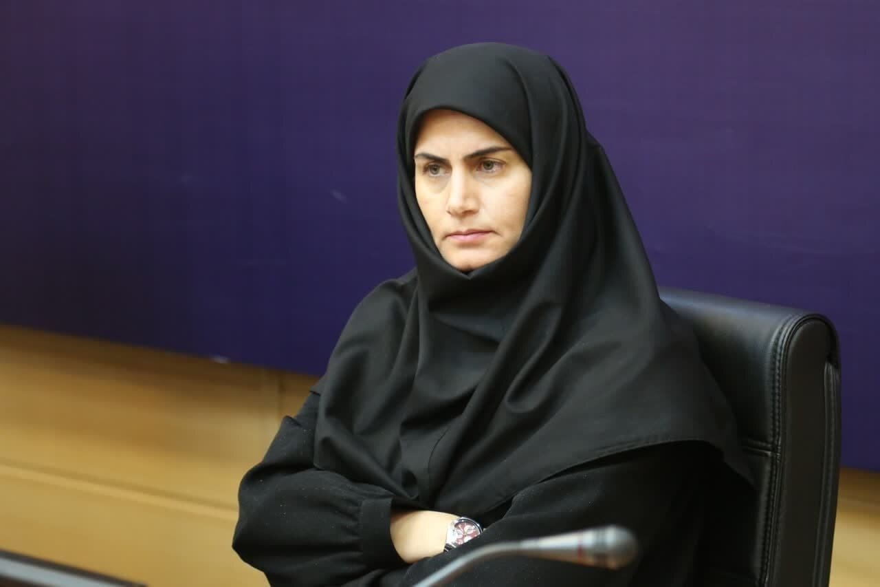 رفع موانع طرحهای سرمایهگذاری زنجان با جدیت دنبال میشود