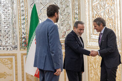 المدير العام للوكالة الدولية للطاقة الذرية يلتقي وزير الخارجية الإيراني
