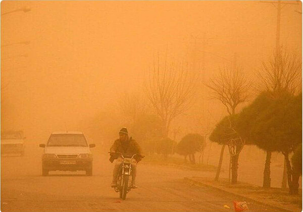 سپر سبز زاگرس در جدال با ریزگردها؛ نفسهای بریده جنگل در محاصره آلودگی