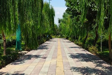 احداث بوستان اختصاصی دختران در پارک سرخه حصار