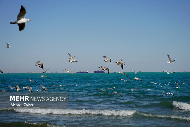 ساماندهی سواحل نیازمند اعتبارات و اختیارات است ساماندهی سواحل نیازمند اعتبارات و اختیارات است