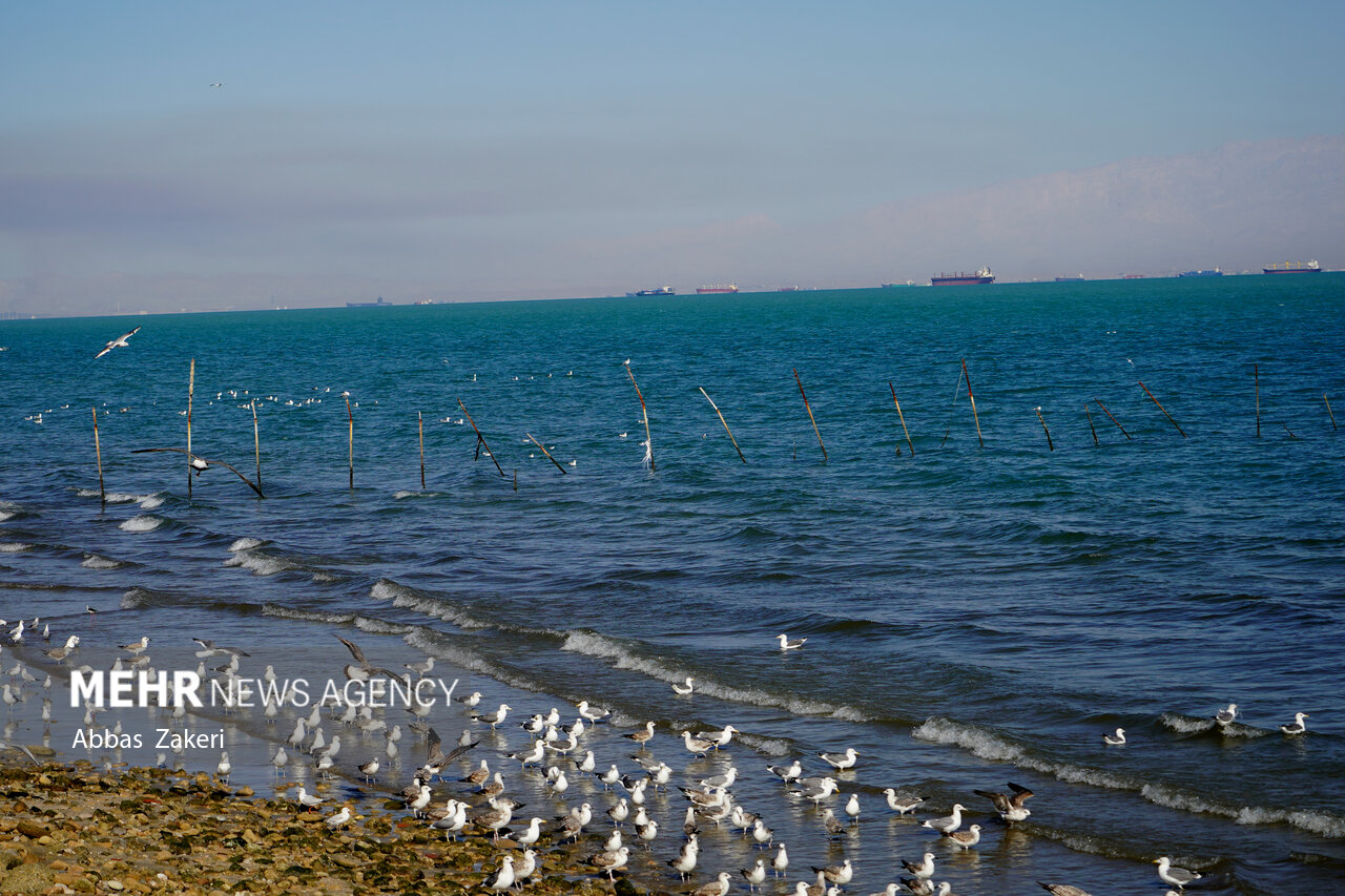 پیوند گردشگری با نسل Z؛ نیازمند تغییر رویکردها در این صنعت هستیم