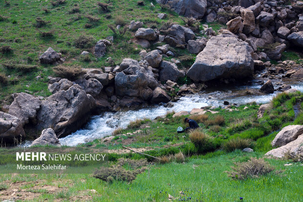 طبیعت زیبای"بیدکان" چهارمحال و بختیاری