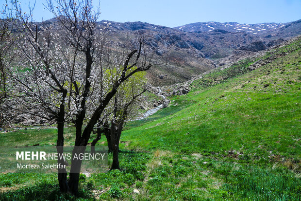 طبیعت زیبای"بیدکان" چهارمحال و بختیاری