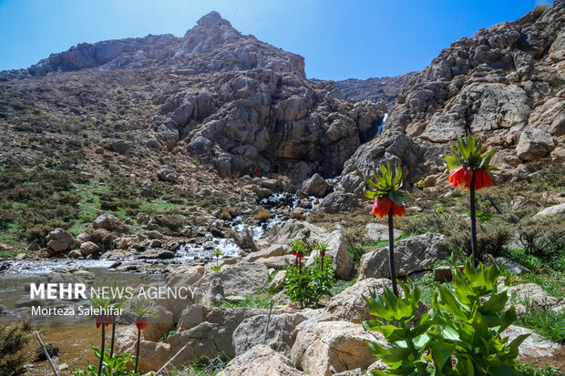 طبیعت زیبای"بیدکان" چهارمحال و بختیاری