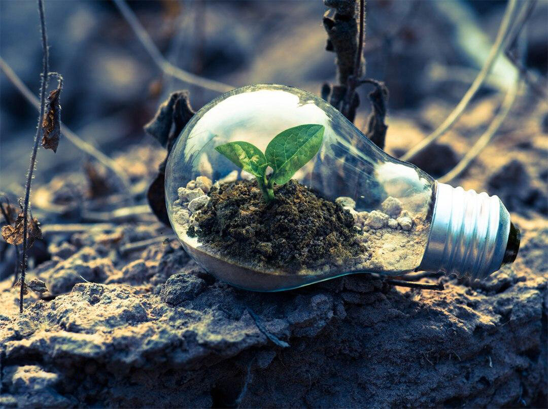 روز زمین پاک و ترویج فرهنگ پاسداری از محیط زیست