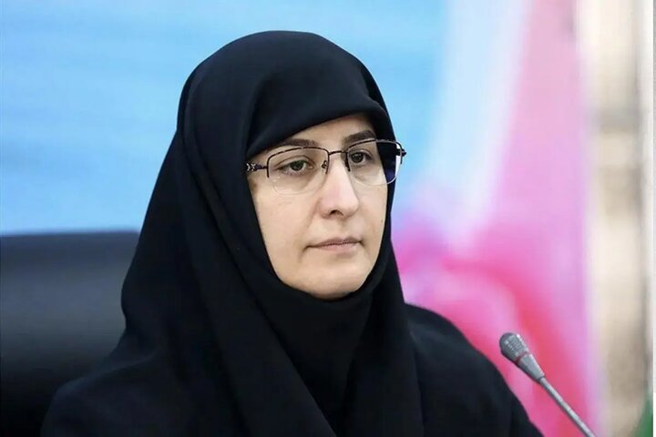 حکیمزاده: ثبتنام دانشآموزان ابتدایی بدون اوراق هویتی انجام میشود
