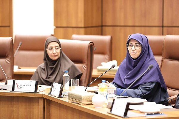 انصاری: انرژی پاک باید با حفظ زیستگاهها توسعه یابد