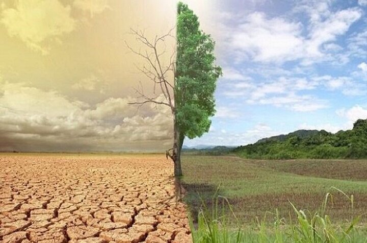 «کمربند سبز»راهکاری دانشبنیان برای جلوگیری از فرسایش خاک و گرد و غبار