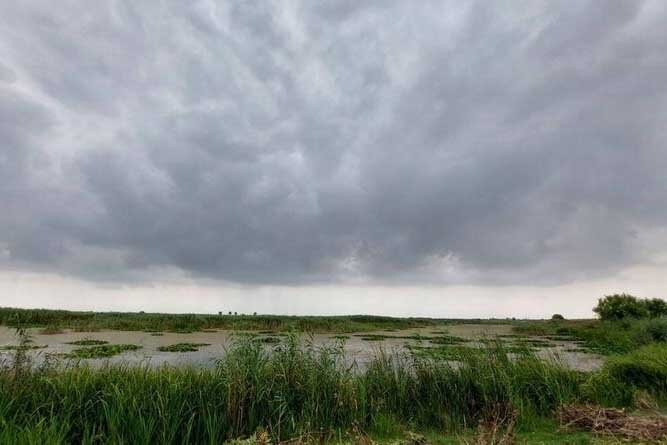 ماجرای تولید مجموعه مستندی درباره آببندانها؛ امنیت شغلی نداریم