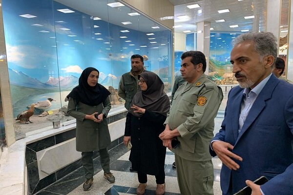 معاون محیط زیست انسانی سازمان محیط زیست از موزه تاریخ طبیعی بازدید کرد