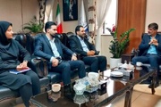 نیاز روزانه استان تهران به گوشت قرمز و مرغ: بیش از ۲ هزار تن