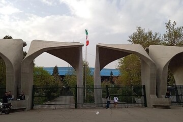 دیدار دبیران کانون‌های فرهنگی دانشگاه تهران با معاون فرهنگی و اجتماعی