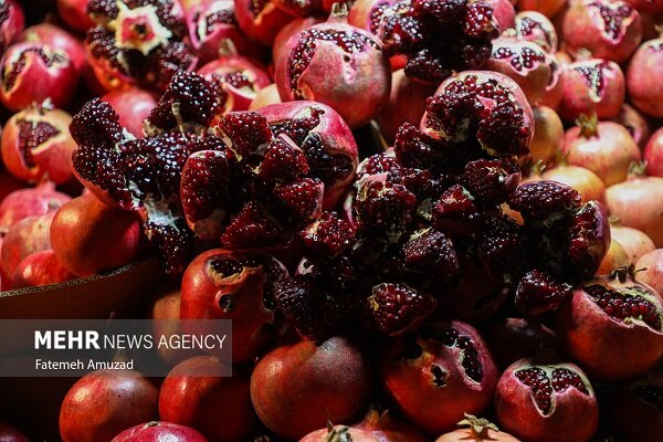 زمانینژاد: انار محمودآباد رتبه نخست تولید استان تهران را دارد زمانینژاد: انار محمودآباد رتبه نخست تولید استان تهران را دارد
