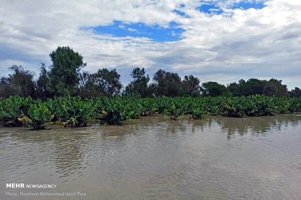 هشدار نارنجی وقوع سیلاب در گیلان و مازندران