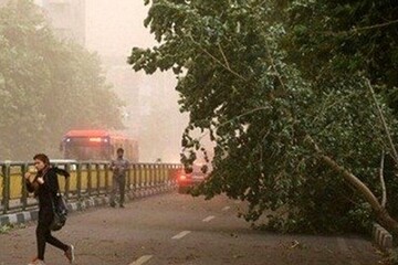 عاصفة مطرية في طهران