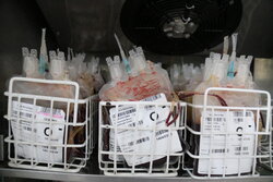 اهدای خون در ماه رمضان نباید به شب‌های قدر محدود شود