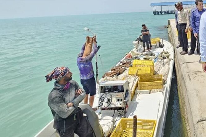 افتتاح اسکله خورخان پس از سالها انتظار؛ نجات یک معیشت دیرینه افتتاح اسکله خورخان پس از سالها انتظار؛ نجات یک معیشت دیرینه