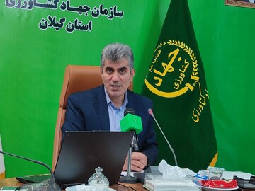 بیش از ۴ هزار هکتار اراضی تالاب انزلی رفع تداخل شد